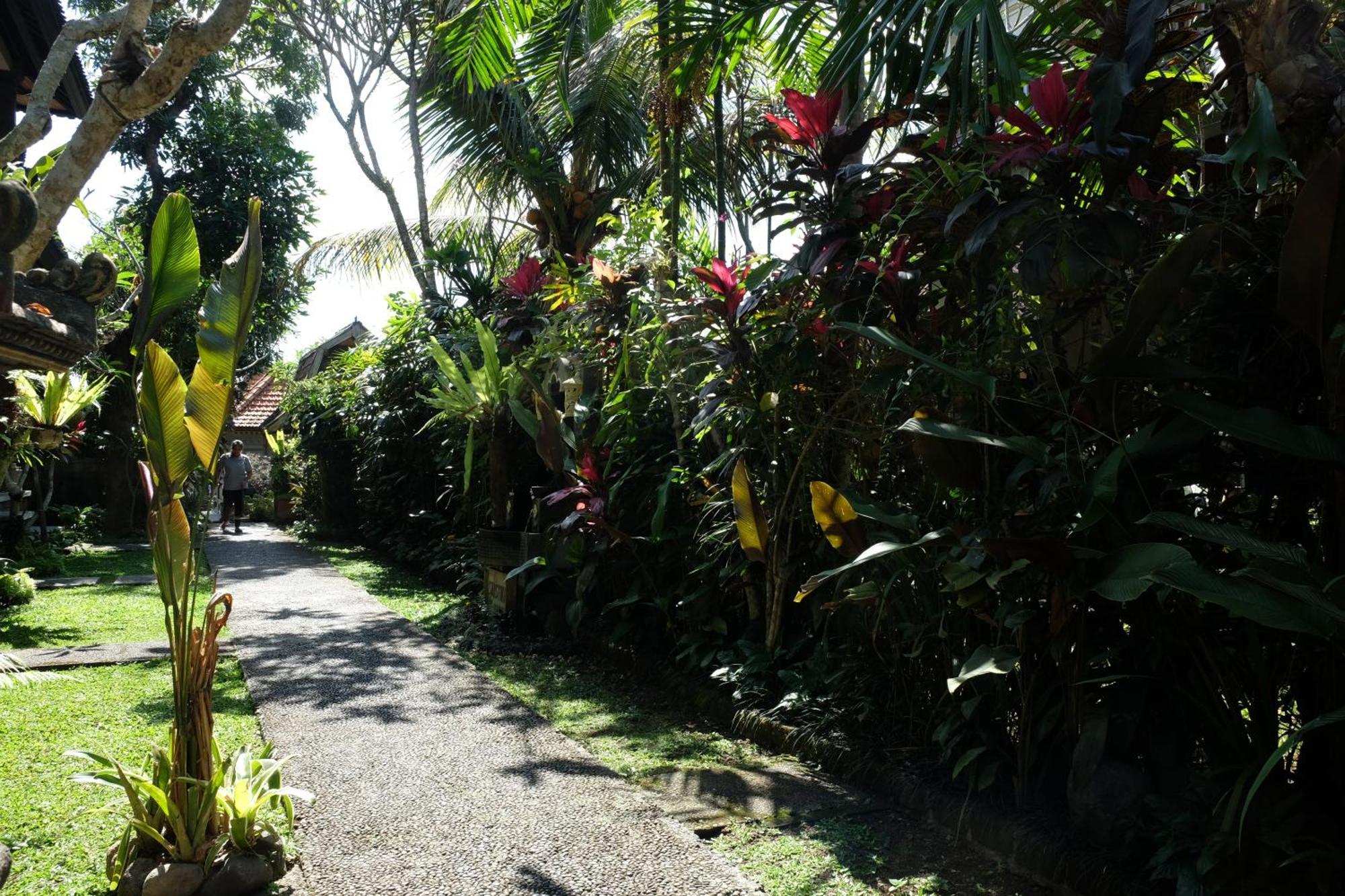 Suastika Guest House Ubud Dış mekan fotoğraf