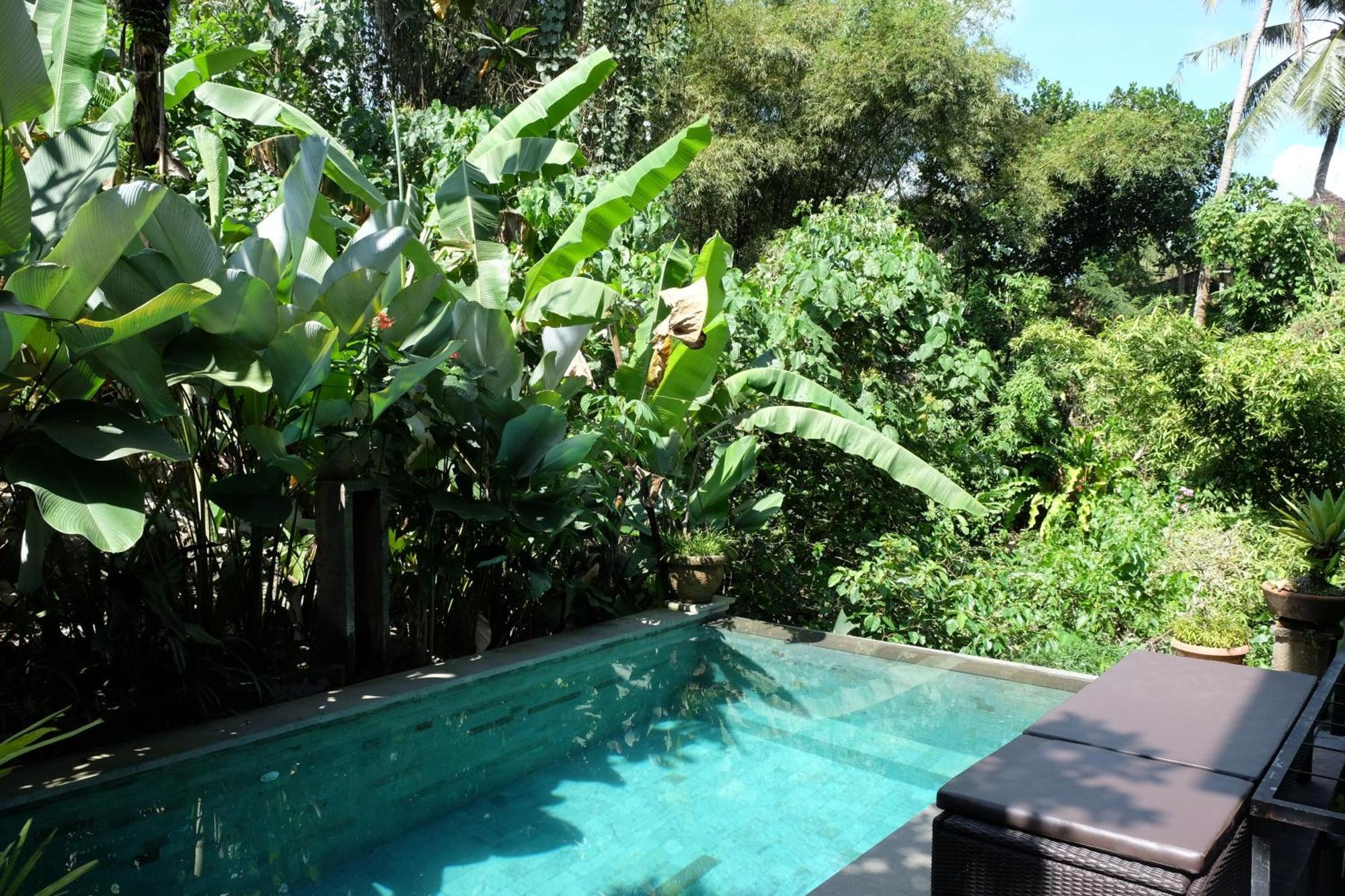 Suastika Guest House Ubud Dış mekan fotoğraf
