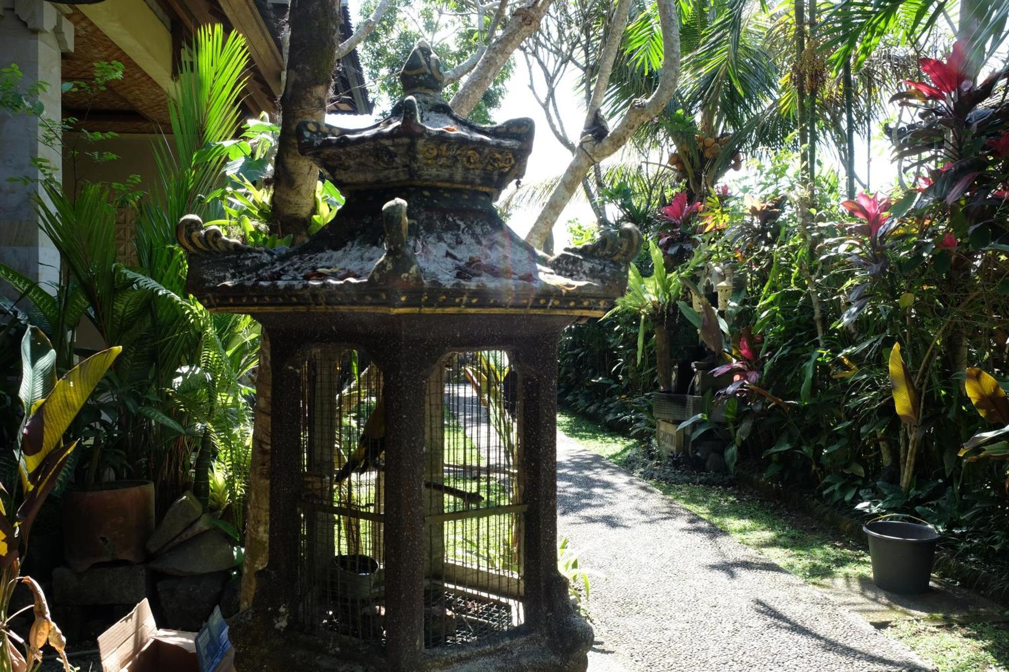 Suastika Guest House Ubud Dış mekan fotoğraf