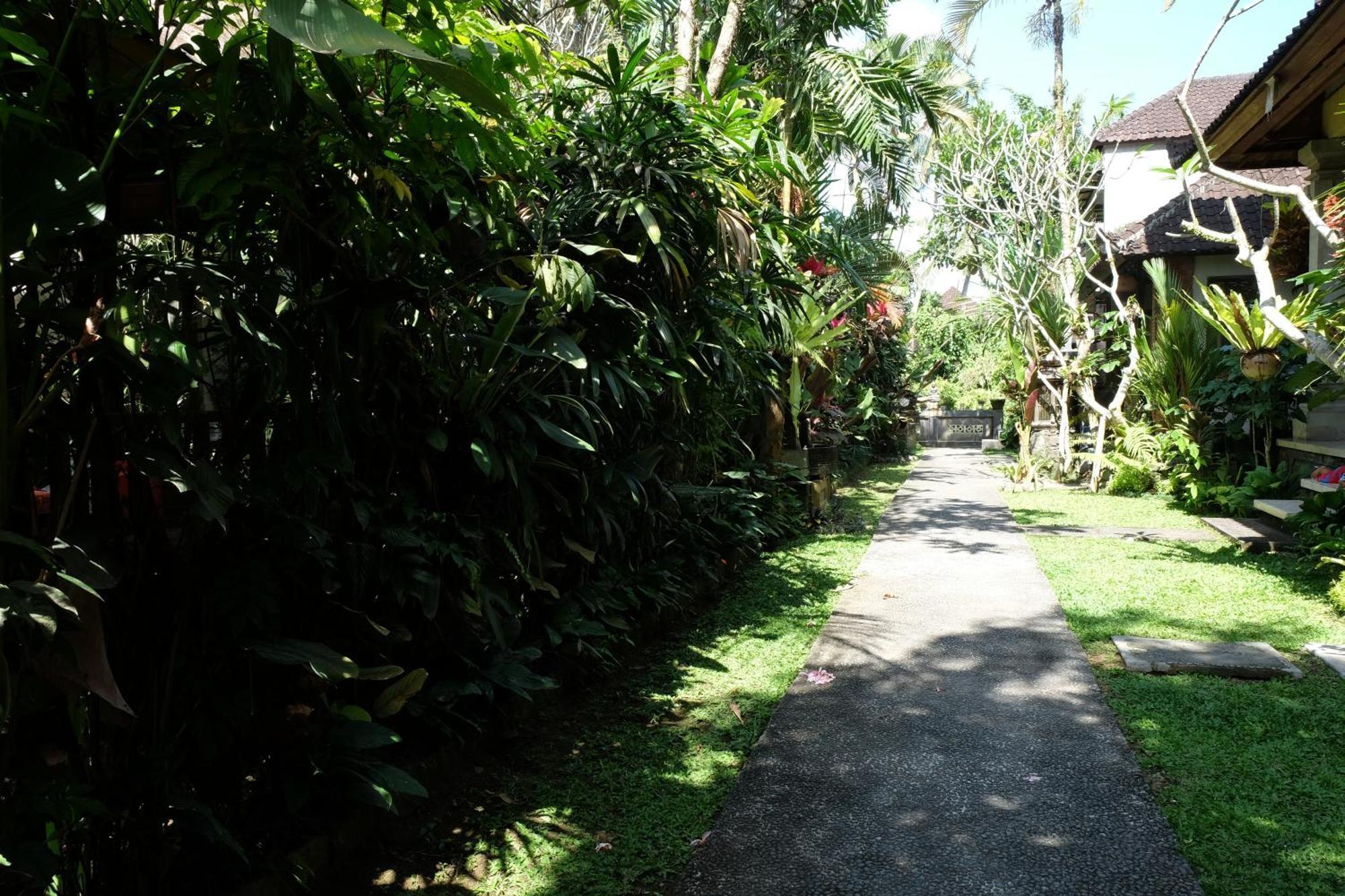 Suastika Guest House Ubud Dış mekan fotoğraf